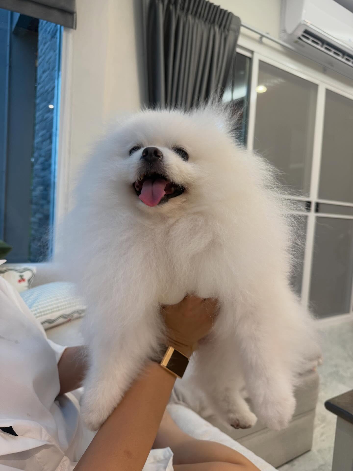 ใบเฟิร์น - พิมพ์ชนก ลือวิเศษไพบูลย์