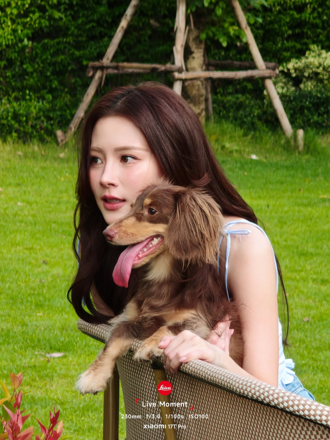 ใบเฟิร์น - พิมพ์ชนก ลือวิเศษไพบูลย์