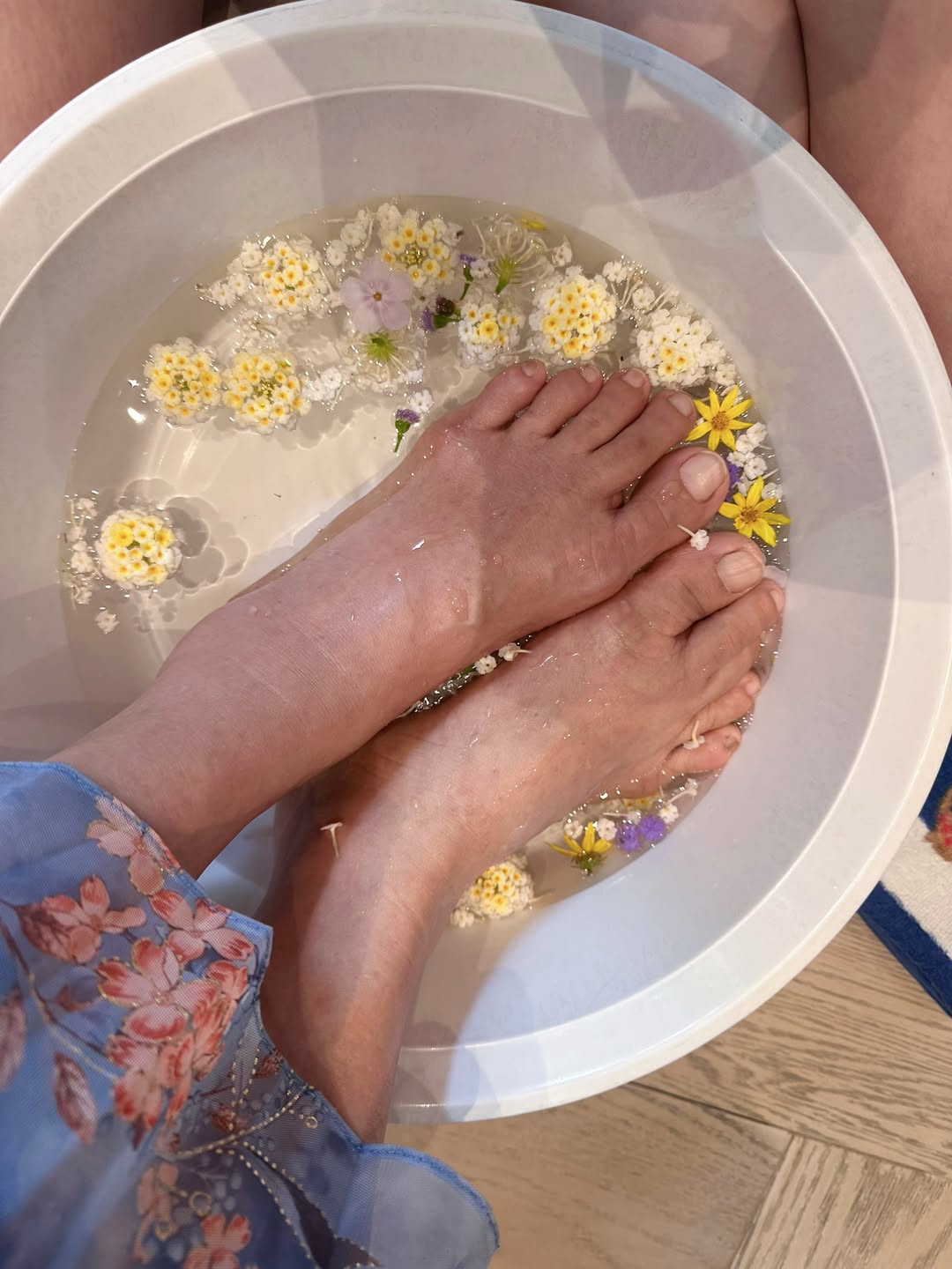 ใบเฟิร์น - พิมพ์ชนก ลือวิเศษไพบูลย์