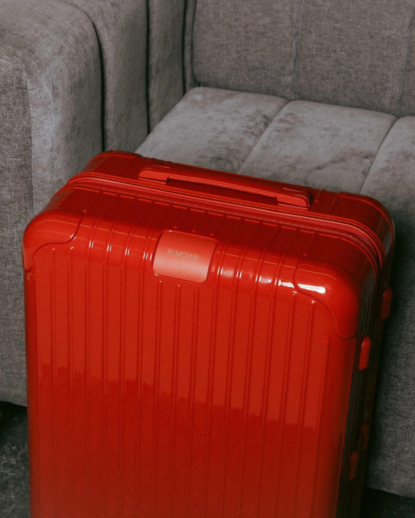 จิมมี่ - จิตรพล โพธิวิหค