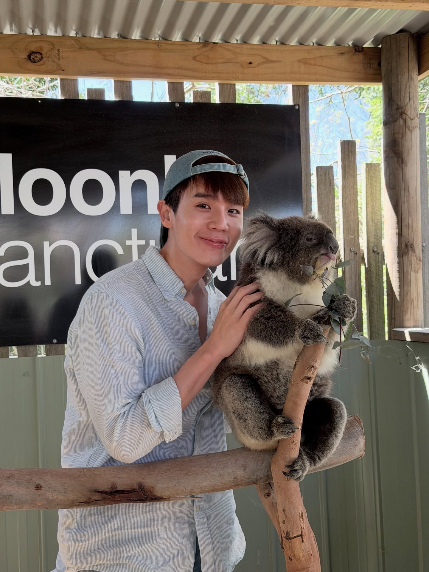 จิมมี่ - จิตรพล โพธิวิหค