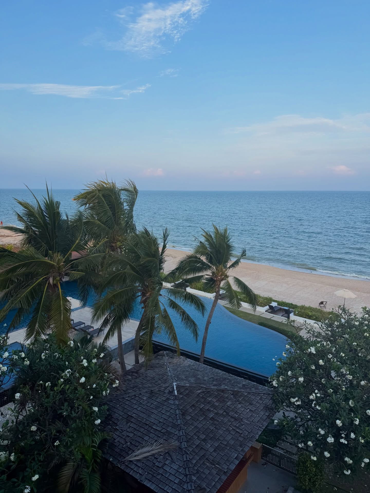 จิมมี่ - จิตรพล โพธิวิหค