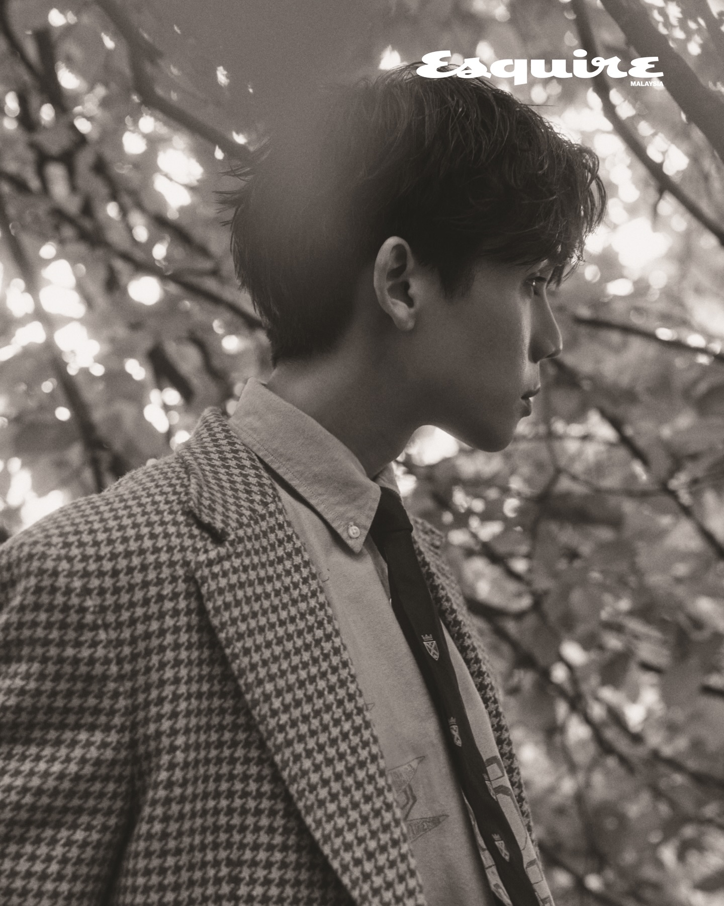 จิมมี่ - จิตรพล โพธิวิหค