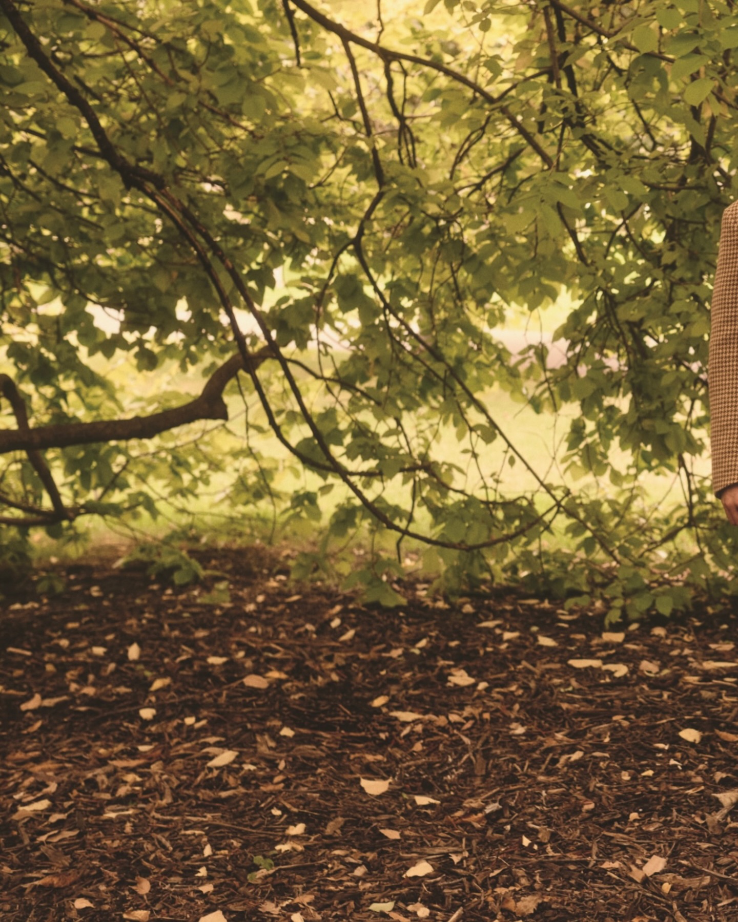 จิมมี่ - จิตรพล โพธิวิหค