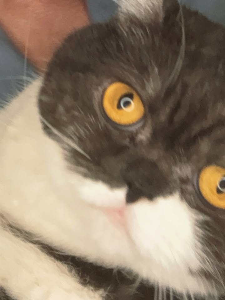 เอิร์ท - พิรพัฒน์ วัฒนเศรษสิริ