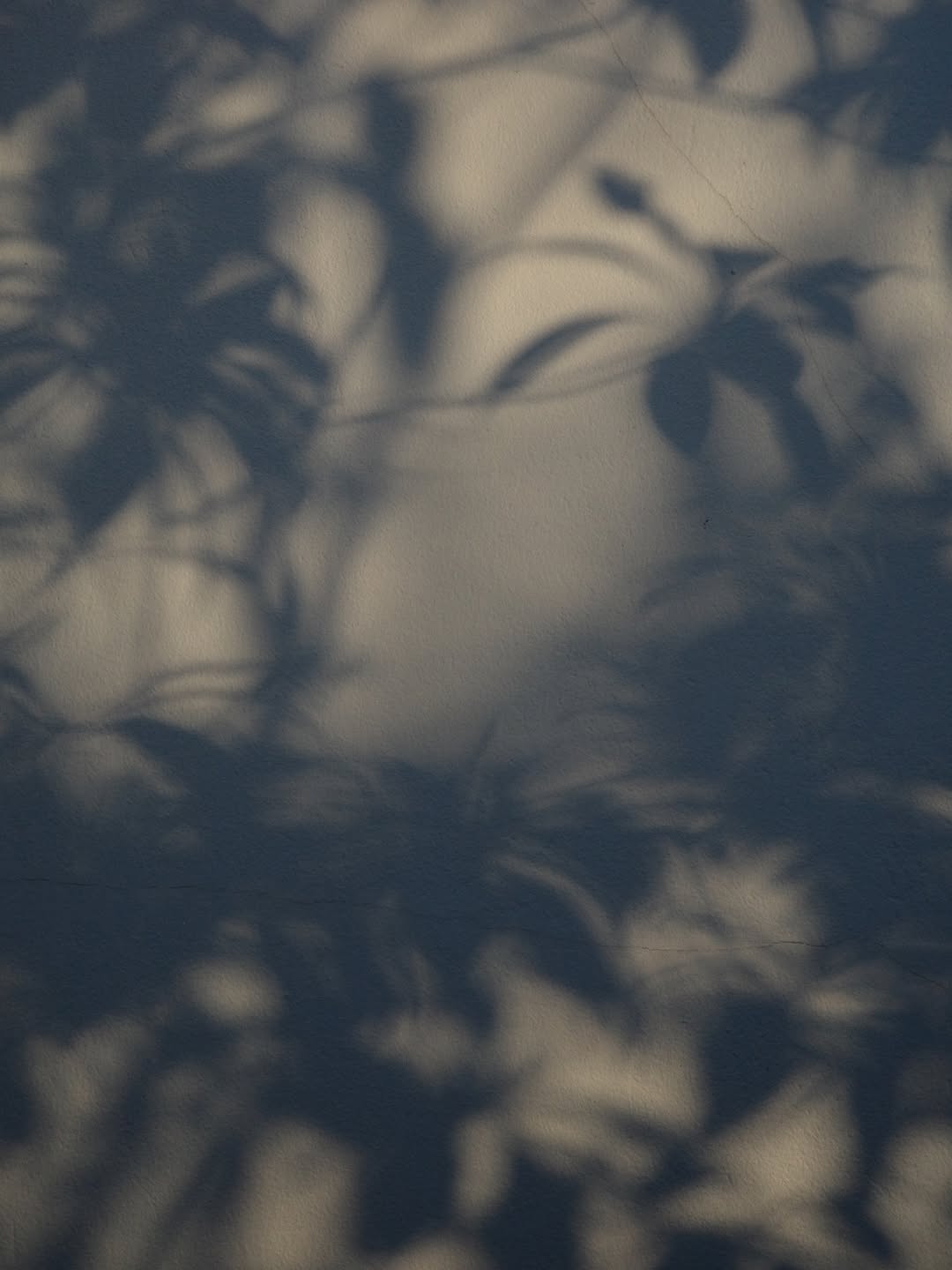 เอิร์ท - พิรพัฒน์ วัฒนเศรษสิริ