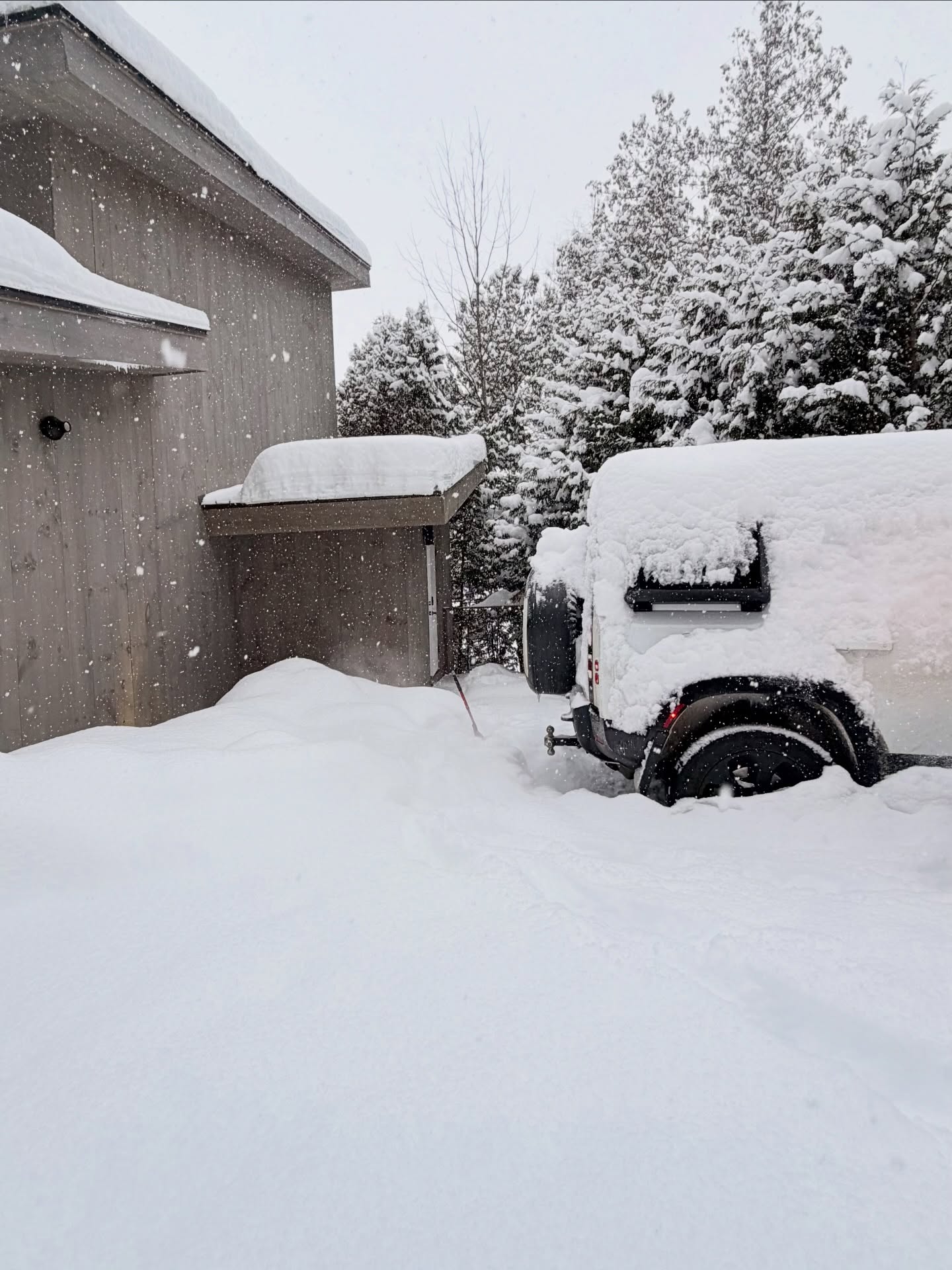 เจนี่ เทียนโพธิ์สุวรรณ์