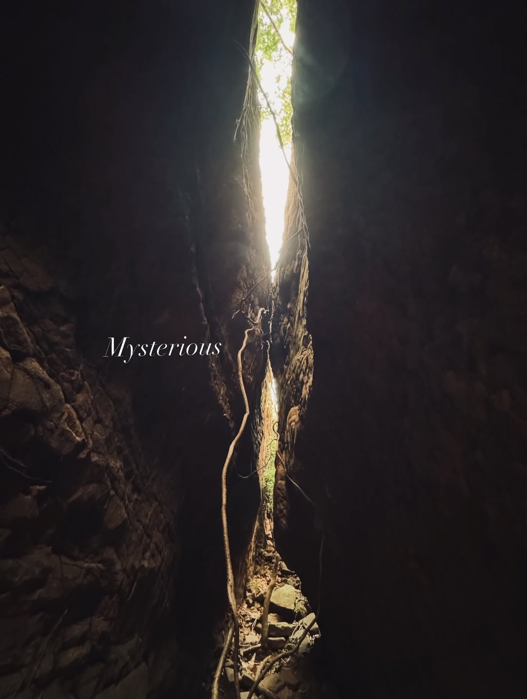 เจนี่ เทียนโพธิ์สุวรรณ์