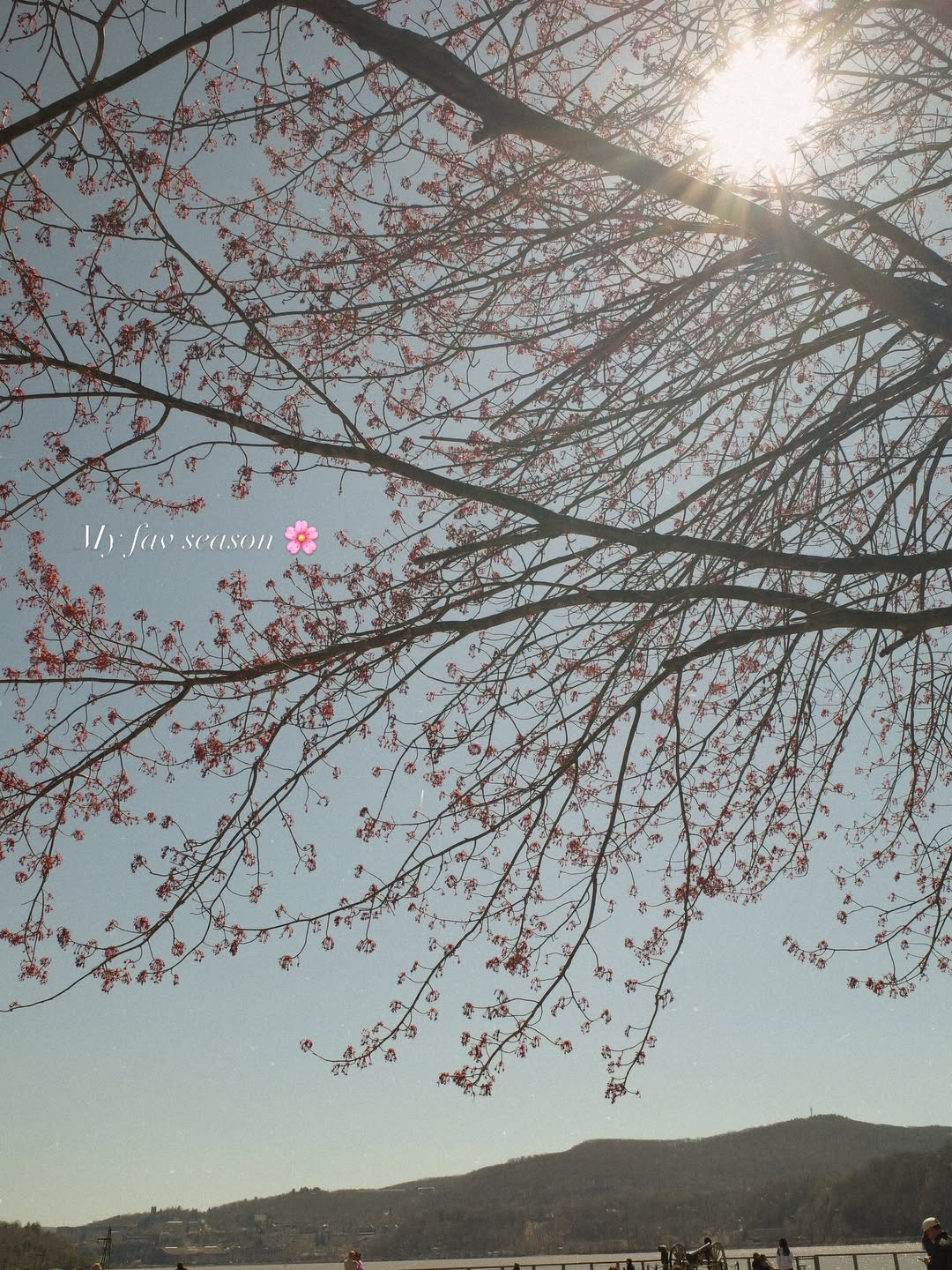 เจนี่ เทียนโพธิ์สุวรรณ์