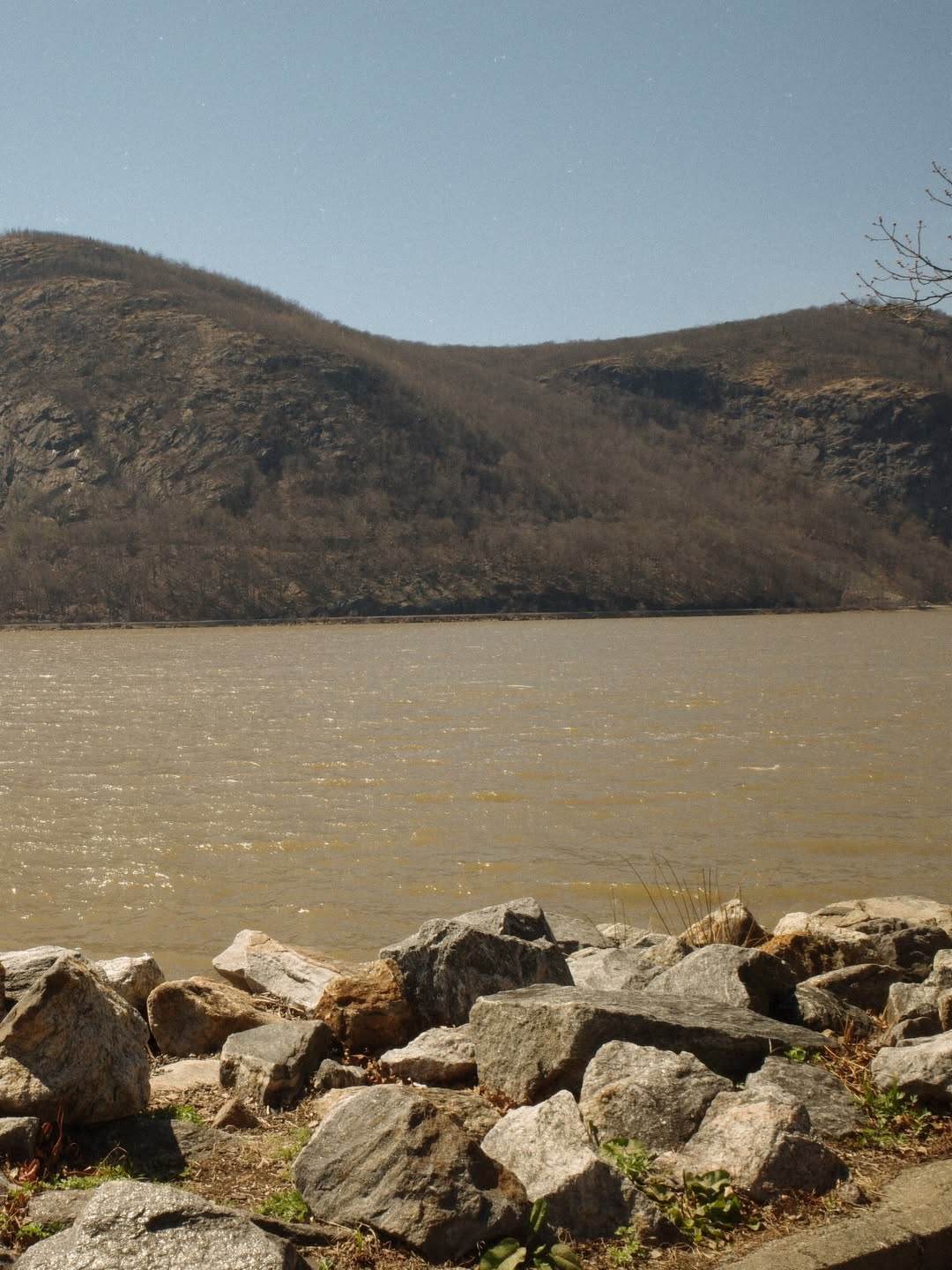 เจนี่ เทียนโพธิ์สุวรรณ์