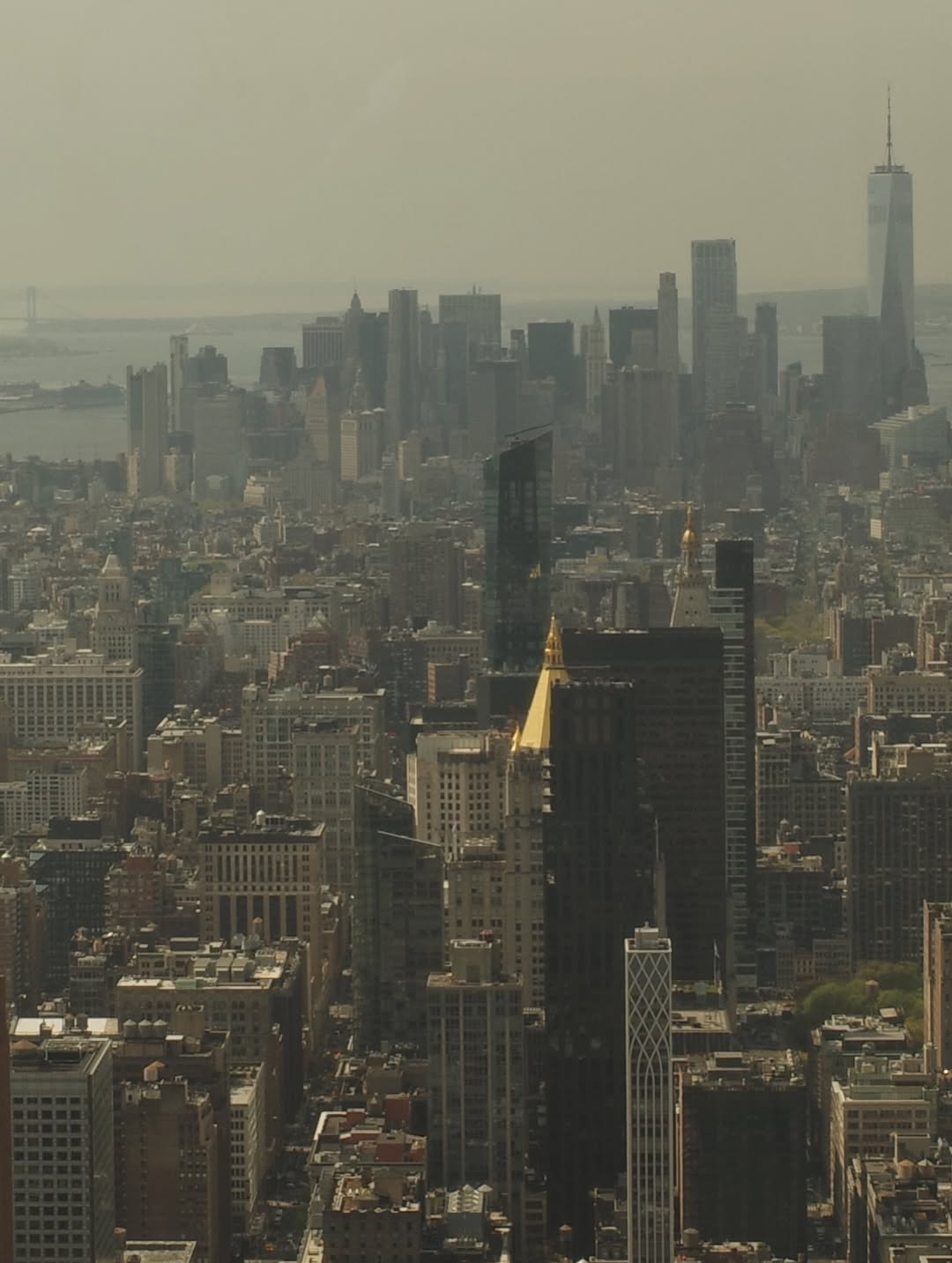 เจนี่ เทียนโพธิ์สุวรรณ์