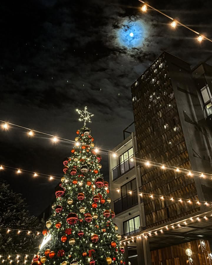 พิ้งค์พลอย - ปภาวดี ชาญสมอน