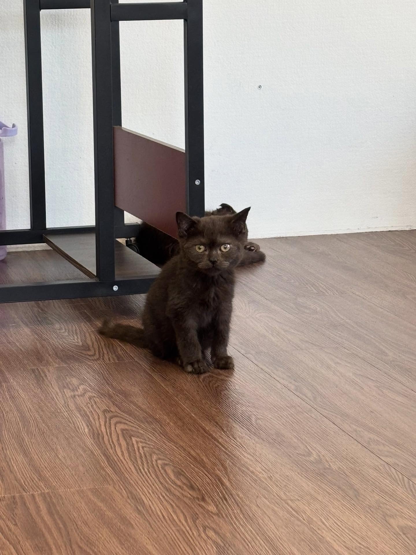 พิ้งค์พลอย - ปภาวดี ชาญสมอน