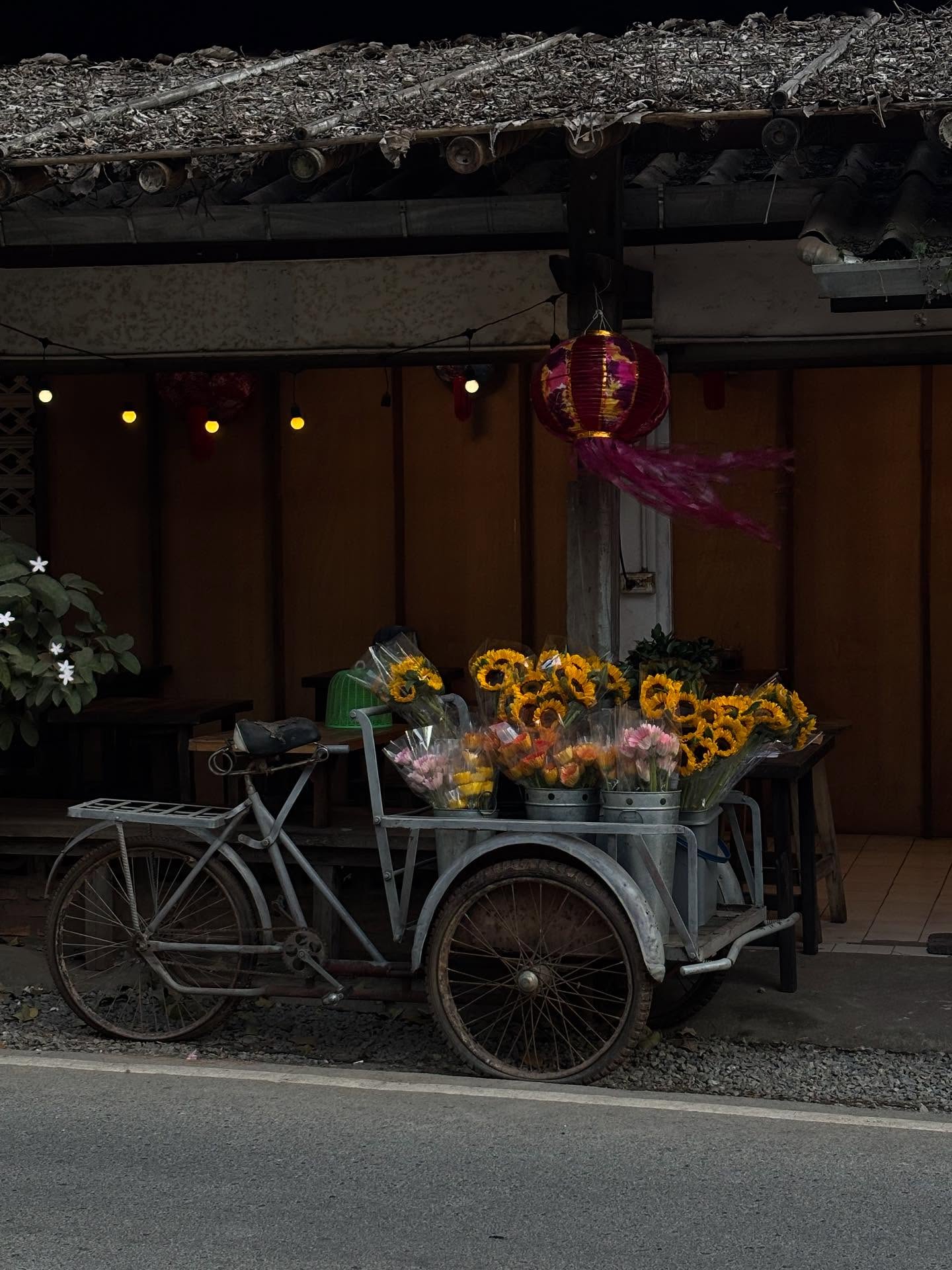 พิ้งค์พลอย - ปภาวดี ชาญสมอน