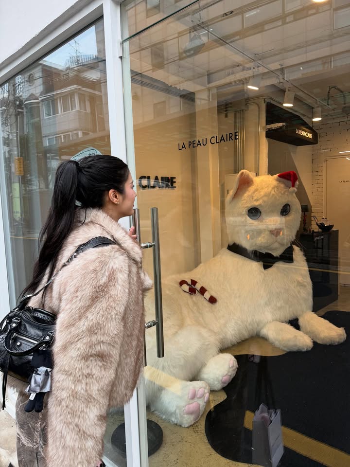 พิ้งค์พลอย - ปภาวดี ชาญสมอน