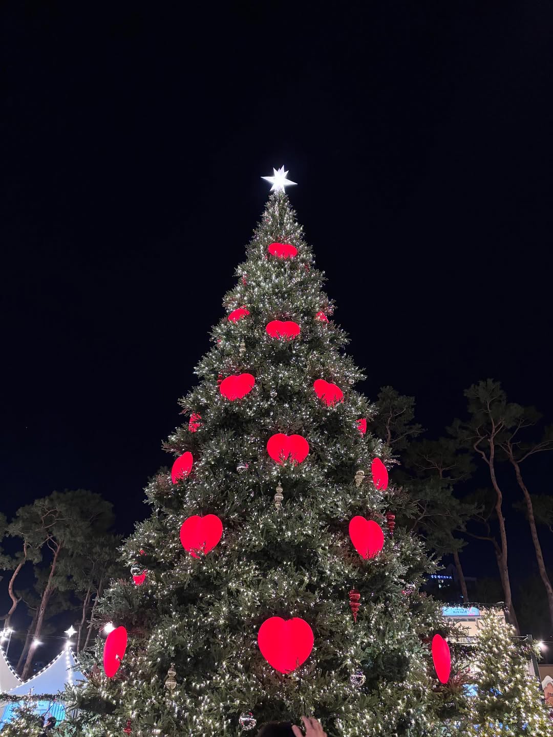 พิ้งค์พลอย - ปภาวดี ชาญสมอน