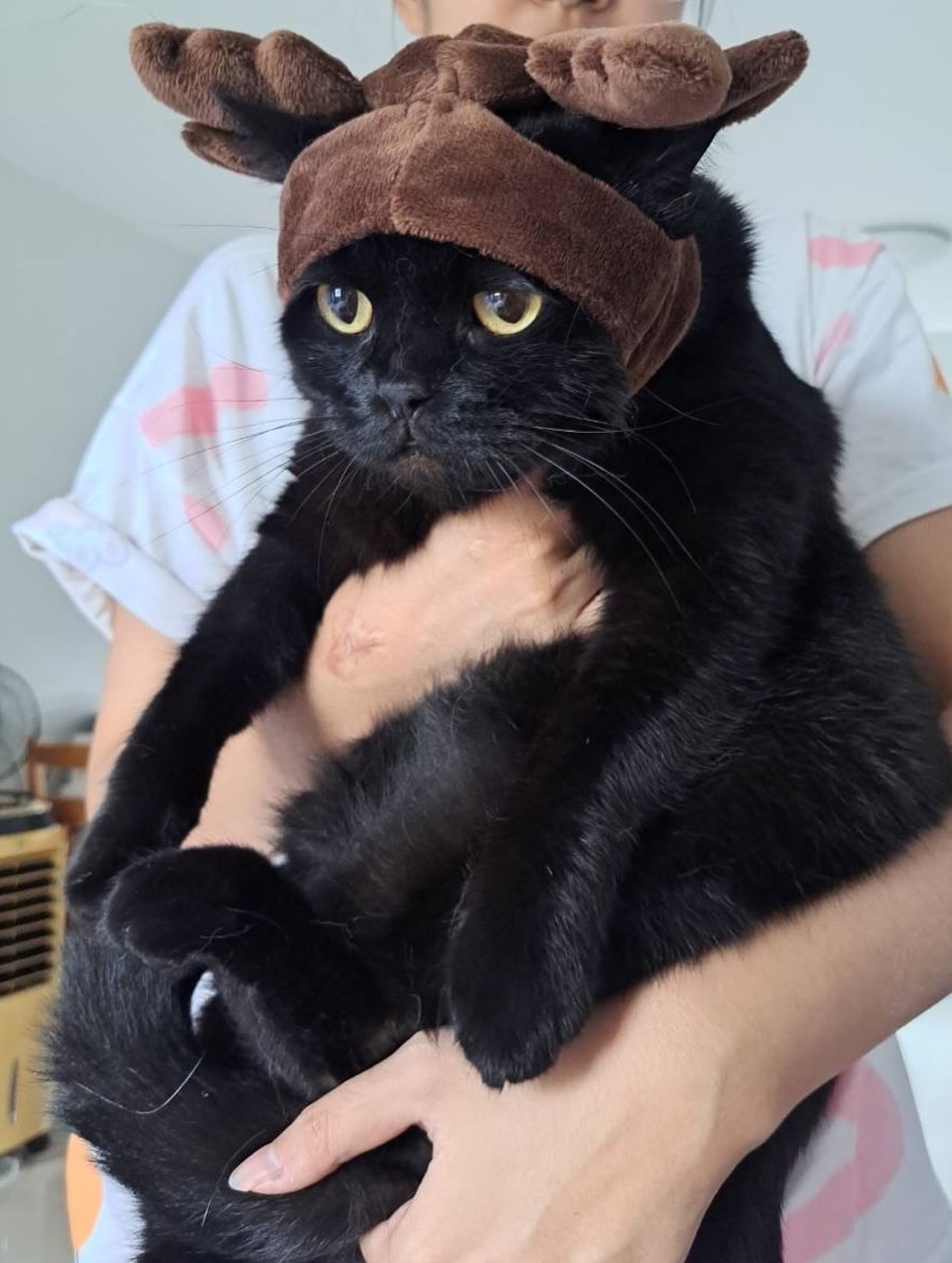 พิ้งค์พลอย - ปภาวดี ชาญสมอน