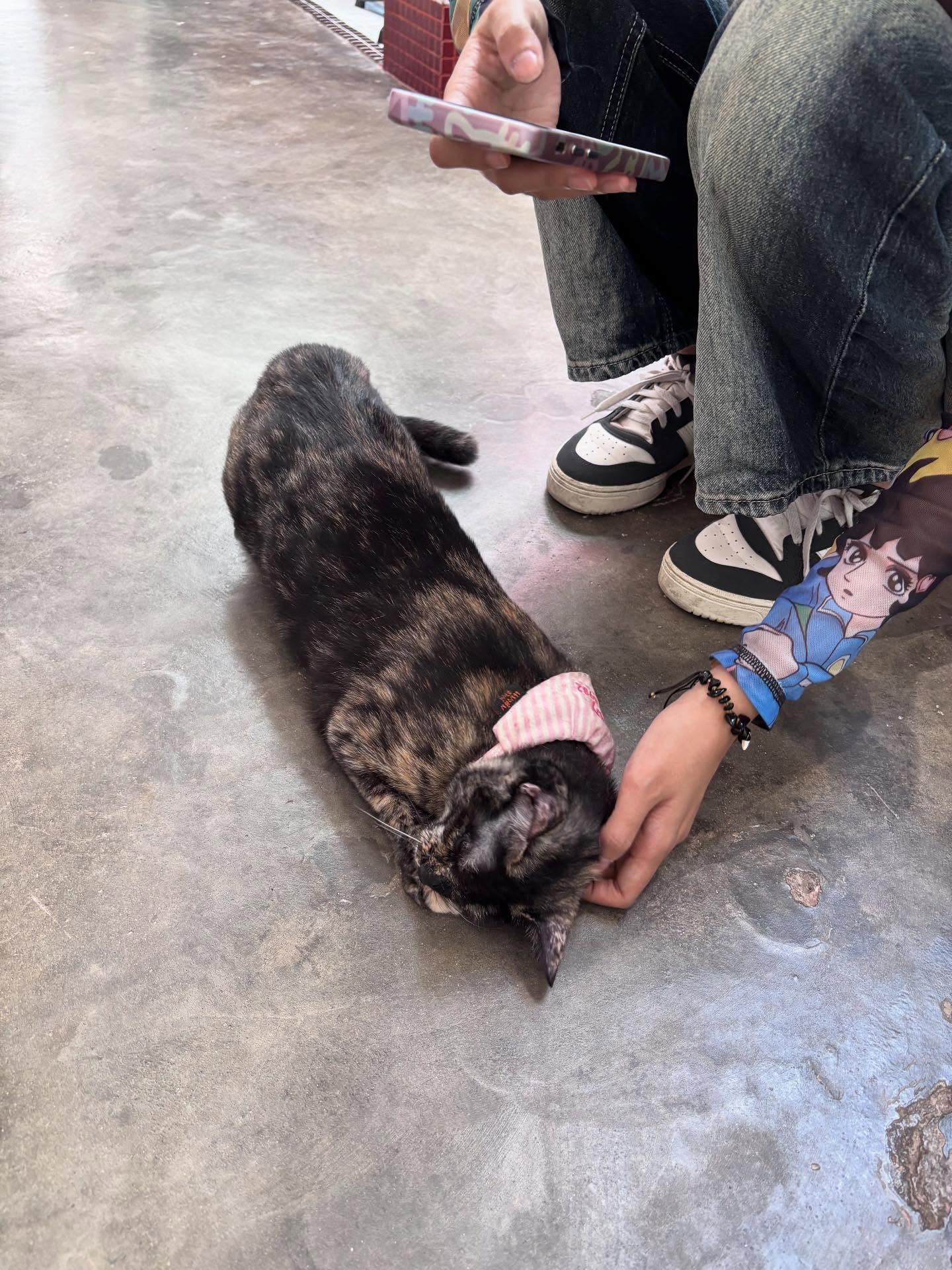 พิ้งค์พลอย - ปภาวดี ชาญสมอน