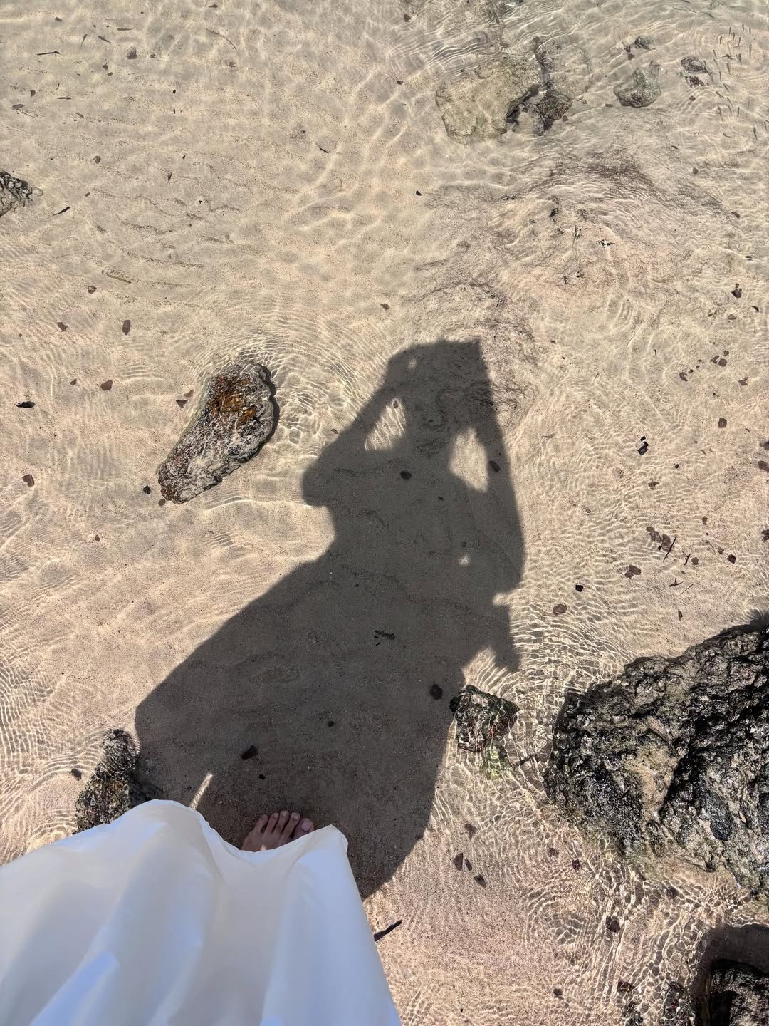 พิ้งค์พลอย - ปภาวดี ชาญสมอน