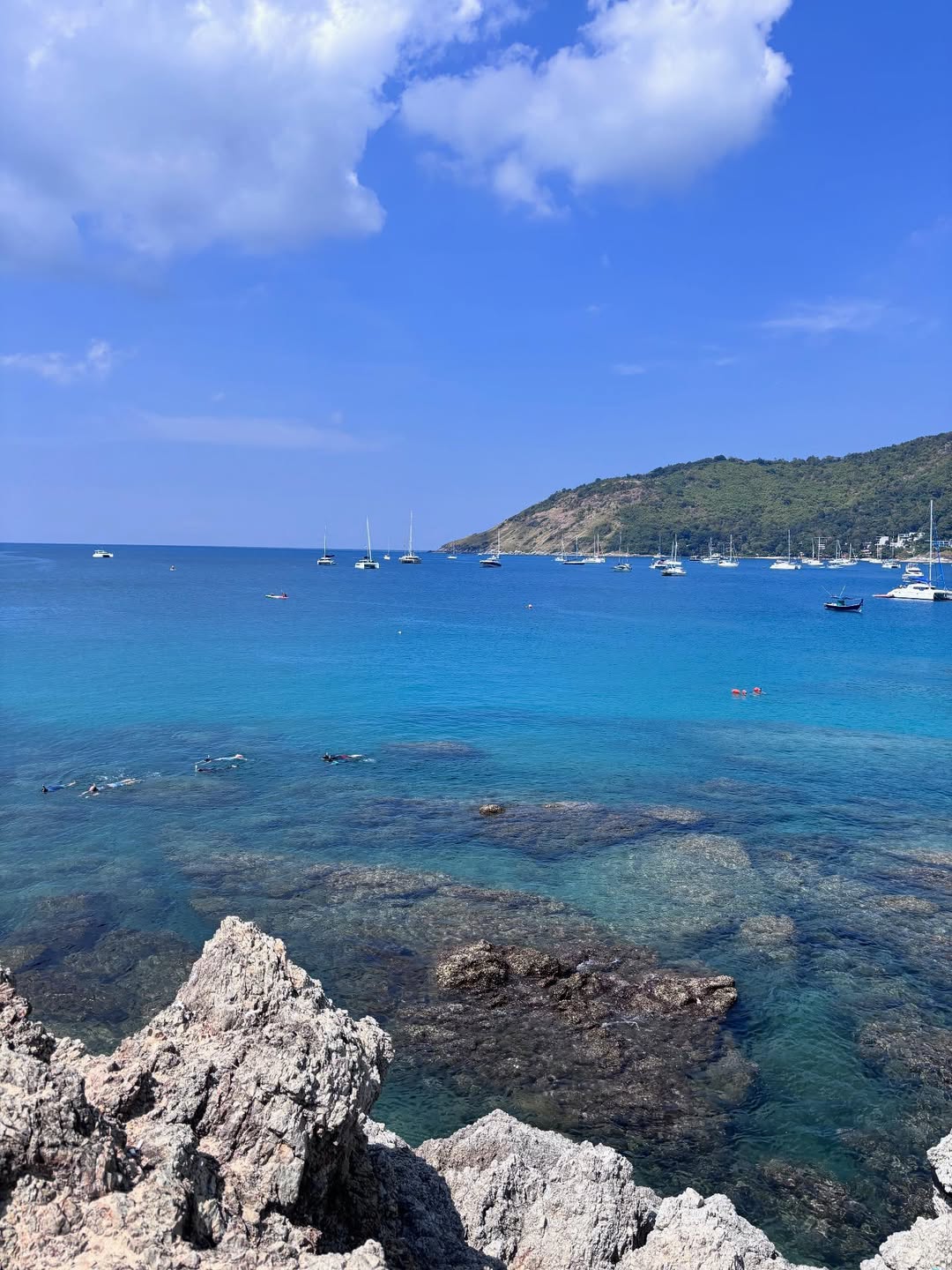 พิ้งค์พลอย - ปภาวดี ชาญสมอน