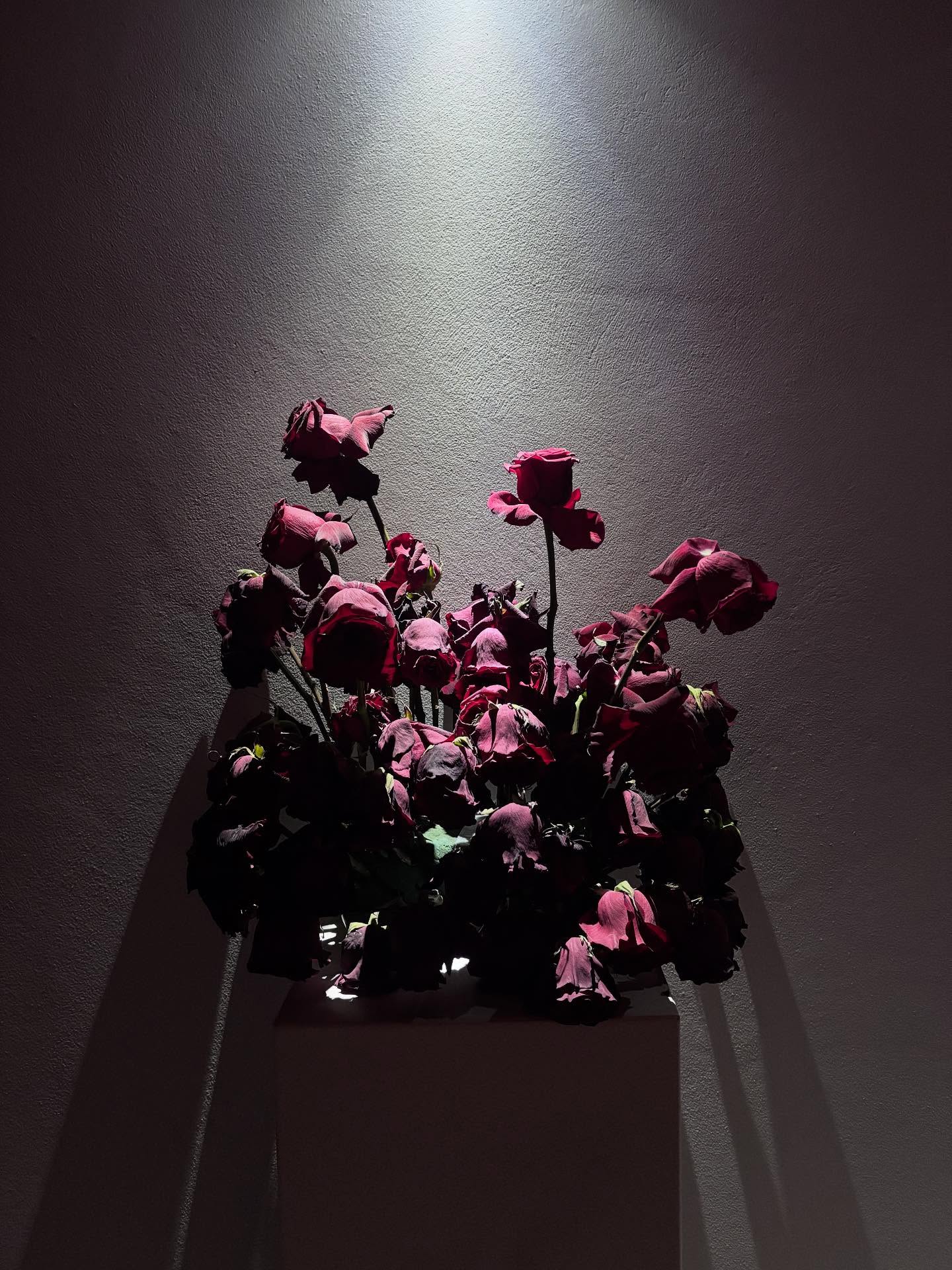 พิ้งค์พลอย - ปภาวดี ชาญสมอน