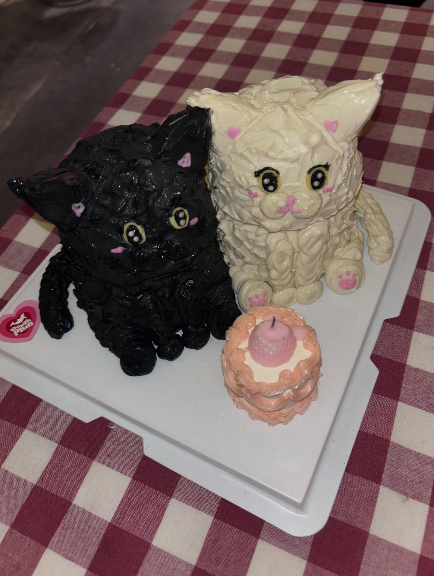 พิ้งค์พลอย - ปภาวดี ชาญสมอน