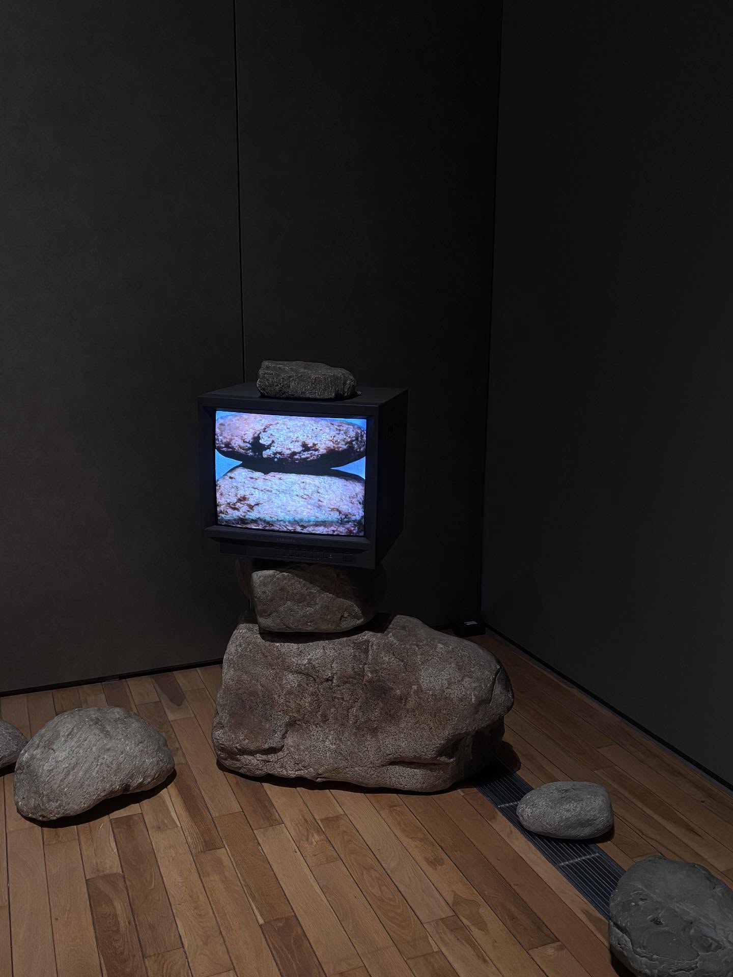 พิ้งค์พลอย - ปภาวดี ชาญสมอน