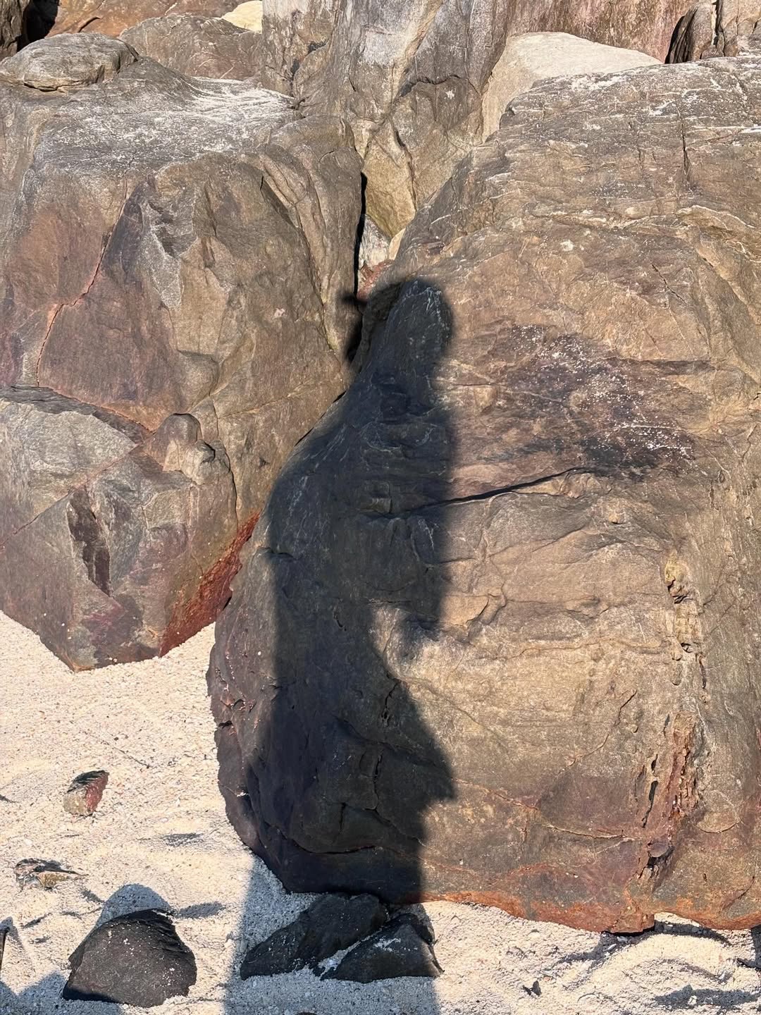 พิ้งค์พลอย - ปภาวดี ชาญสมอน