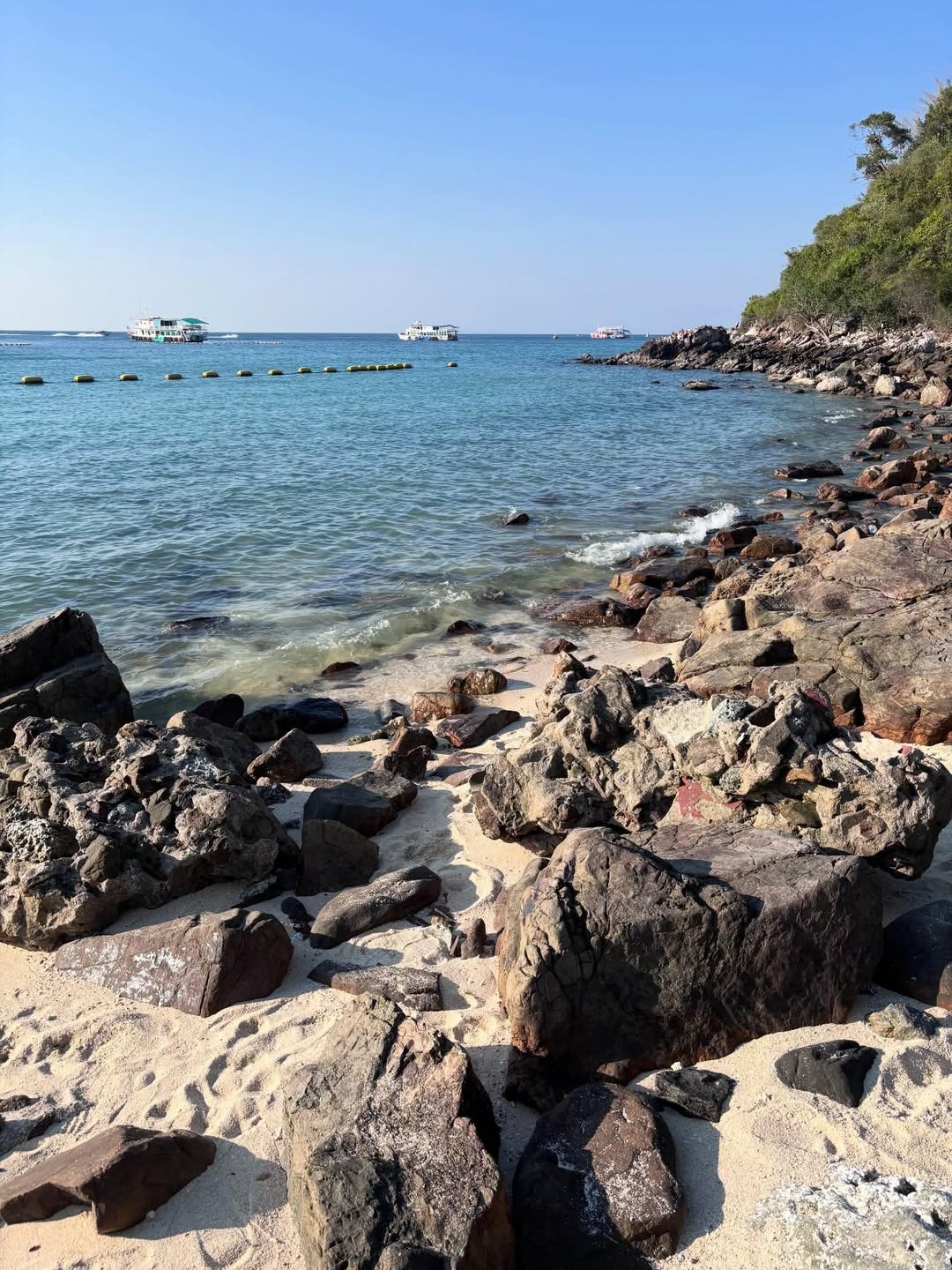 พิ้งค์พลอย - ปภาวดี ชาญสมอน