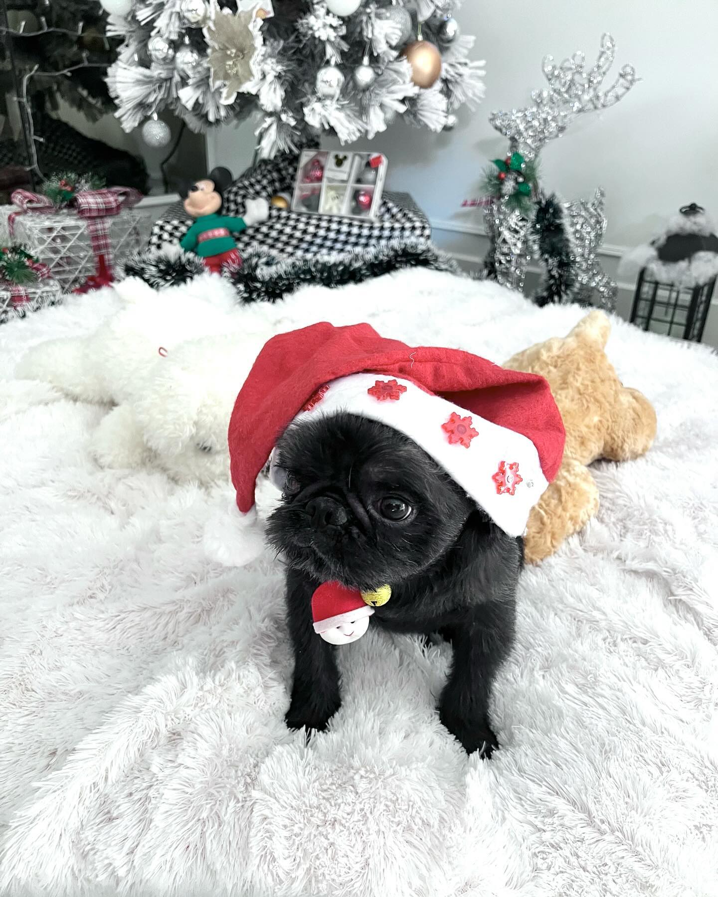 แม็กกี้ - อาภา ภาวิไล