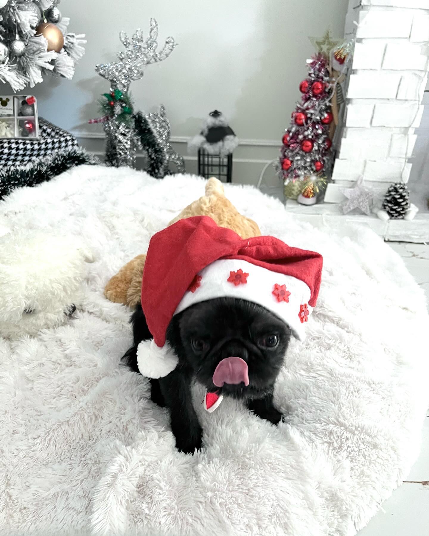 แม็กกี้ - อาภา ภาวิไล