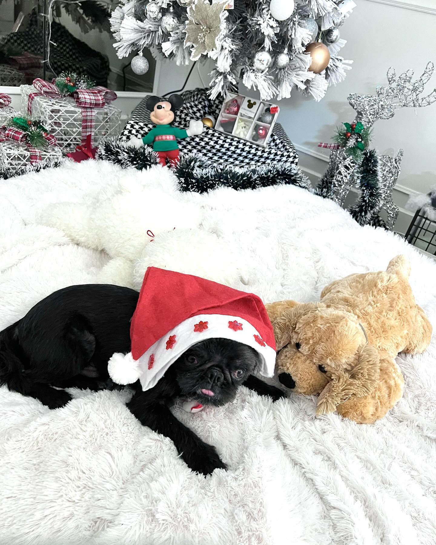 แม็กกี้ - อาภา ภาวิไล