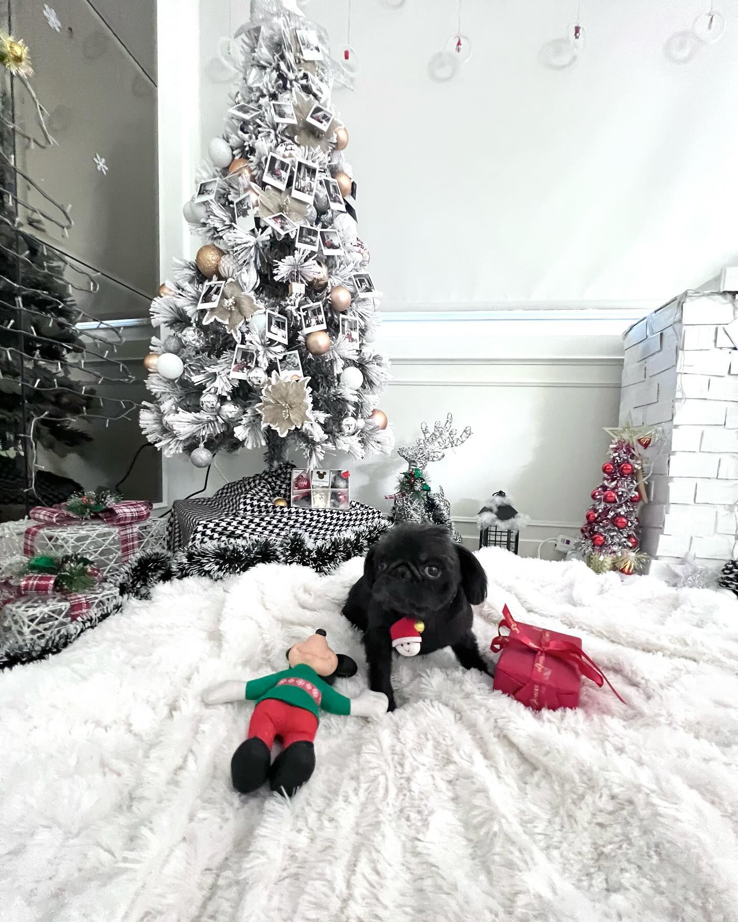 แม็กกี้ - อาภา ภาวิไล