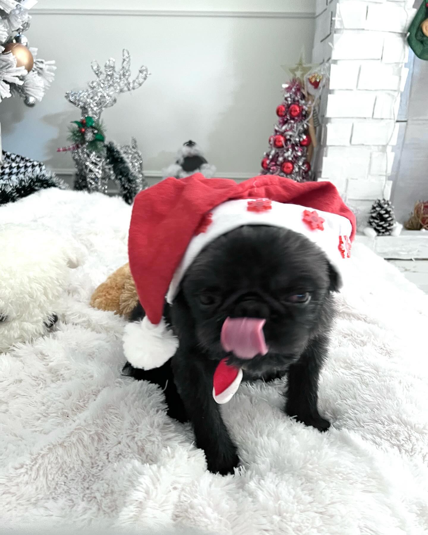 แม็กกี้ - อาภา ภาวิไล