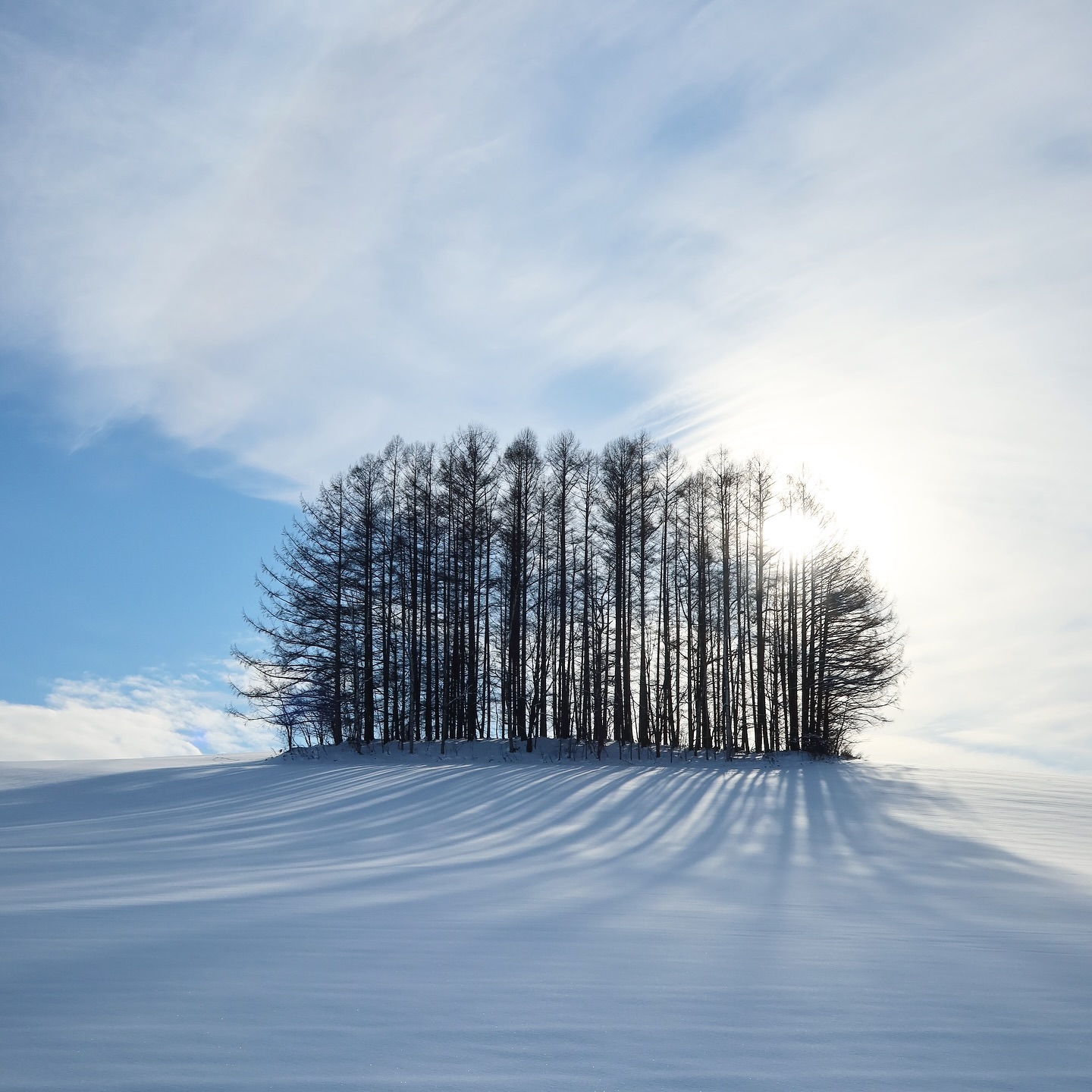 แม็กกี้ - อาภา ภาวิไล