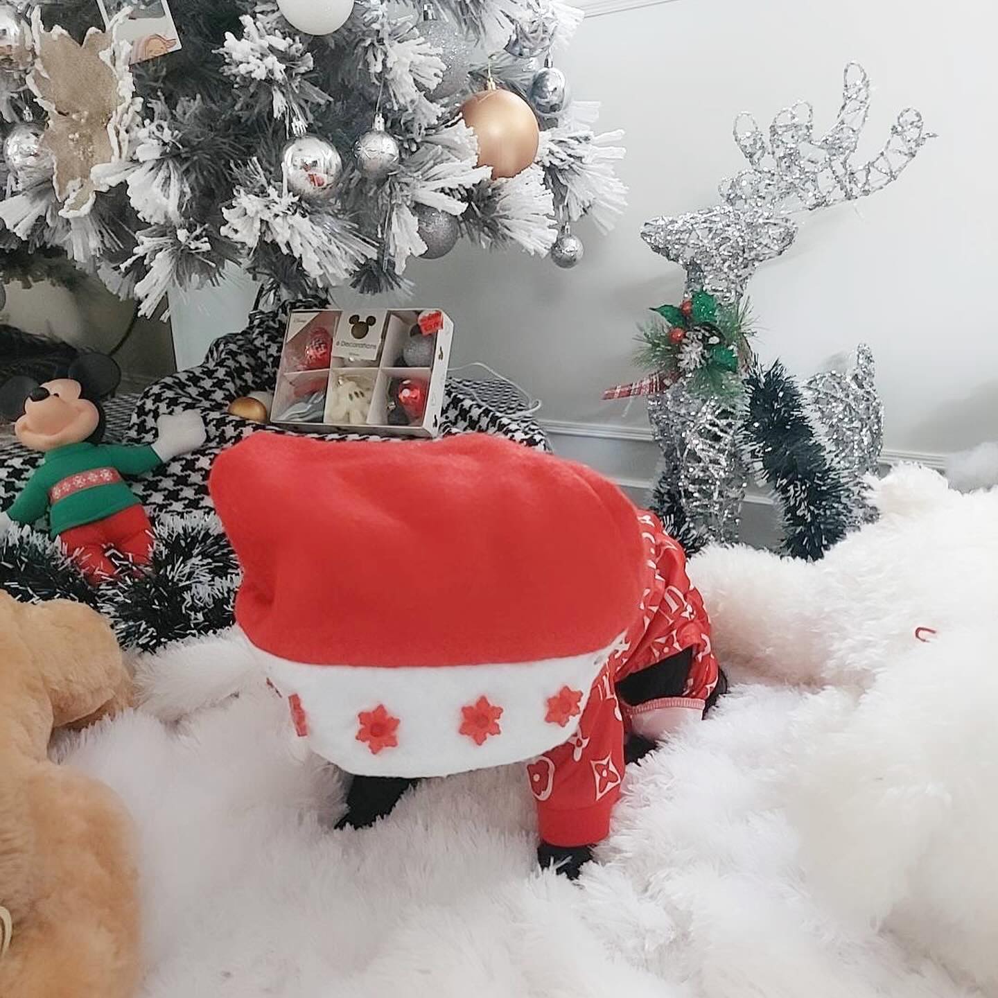 แม็กกี้ - อาภา ภาวิไล