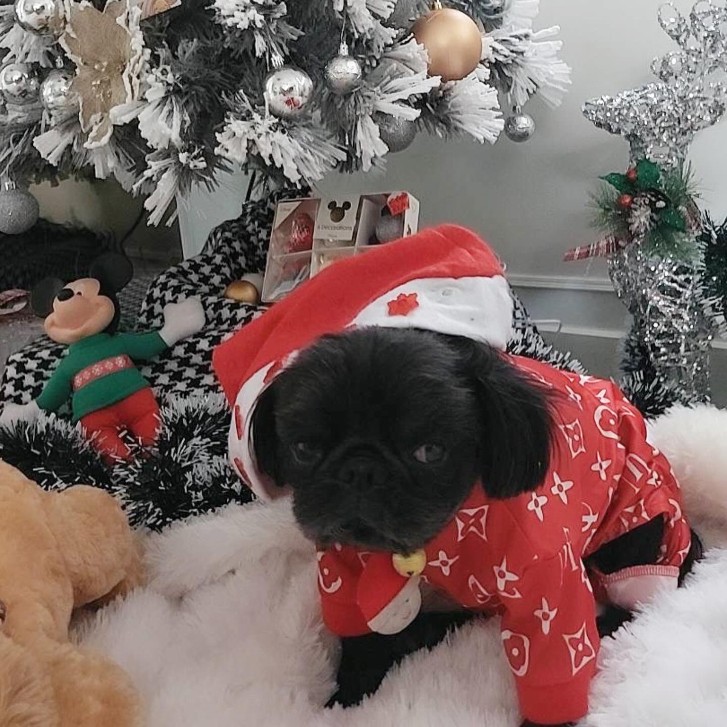 แม็กกี้ - อาภา ภาวิไล