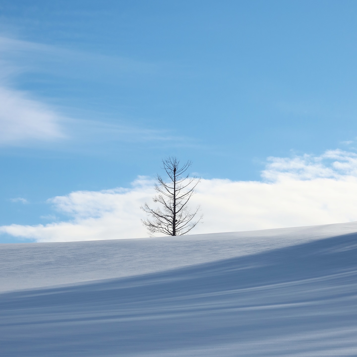 แม็กกี้ - อาภา ภาวิไล