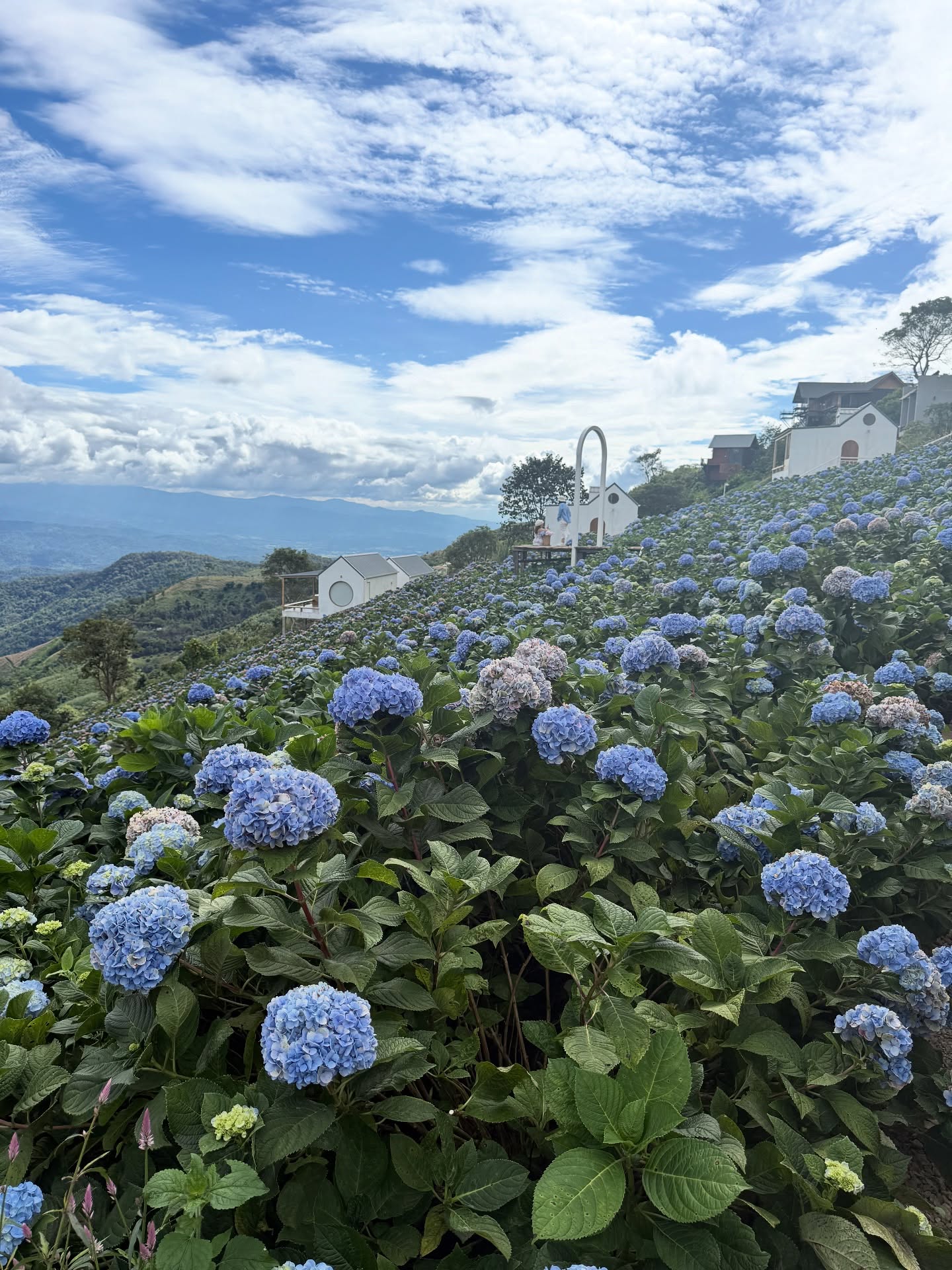 แม็กกี้ - อาภา ภาวิไล