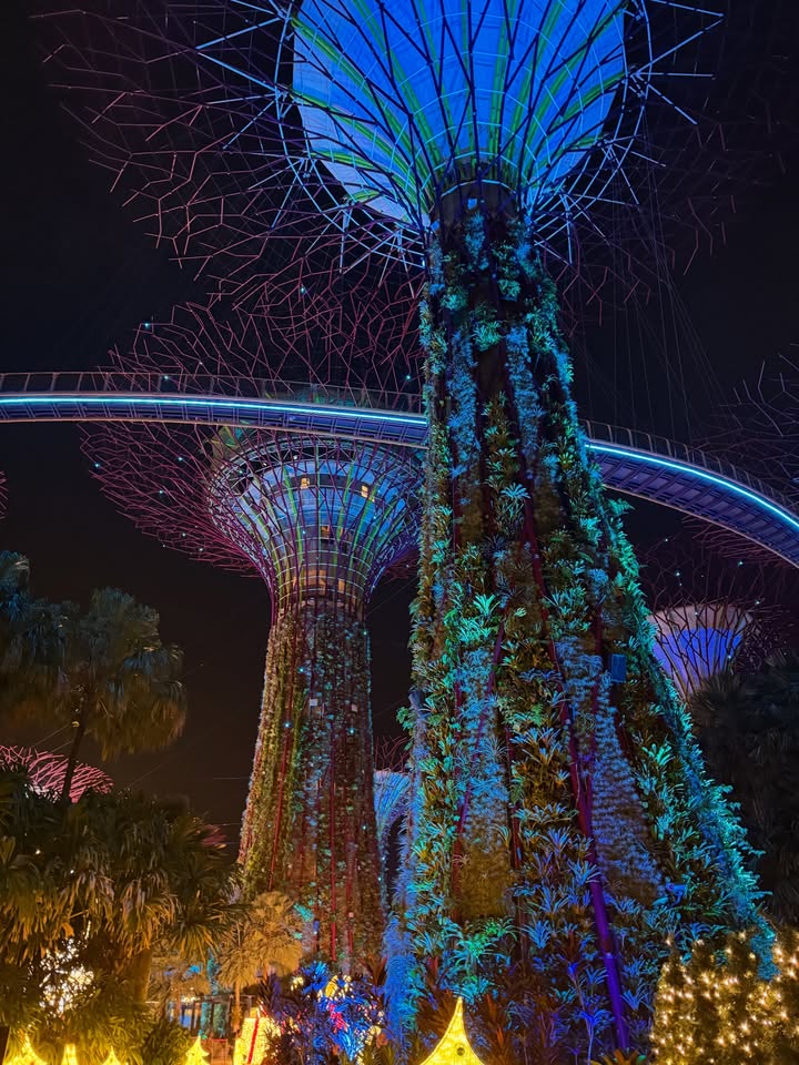 แม็กกี้ - อาภา ภาวิไล