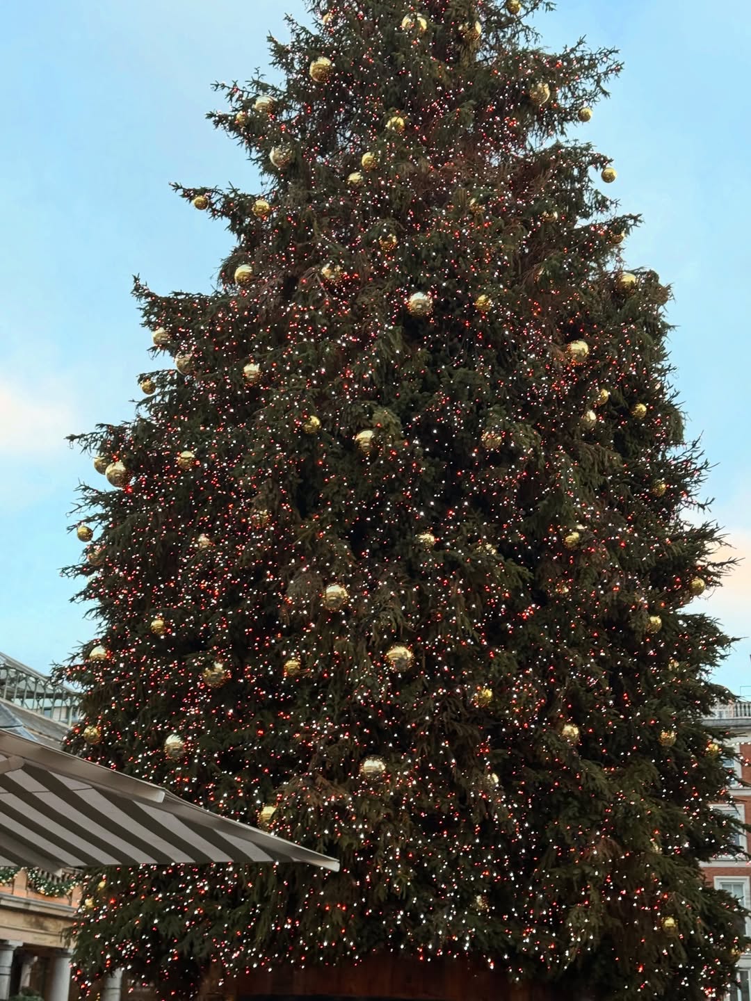 แม็กกี้ - อาภา ภาวิไล