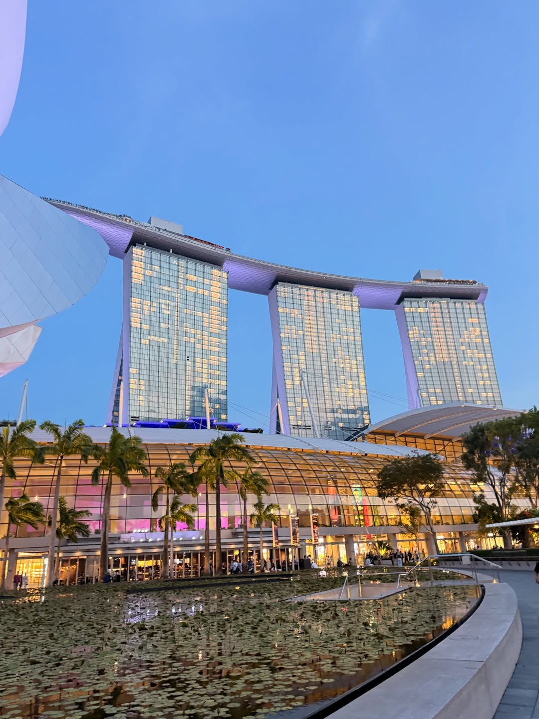 แม็กกี้ - อาภา ภาวิไล