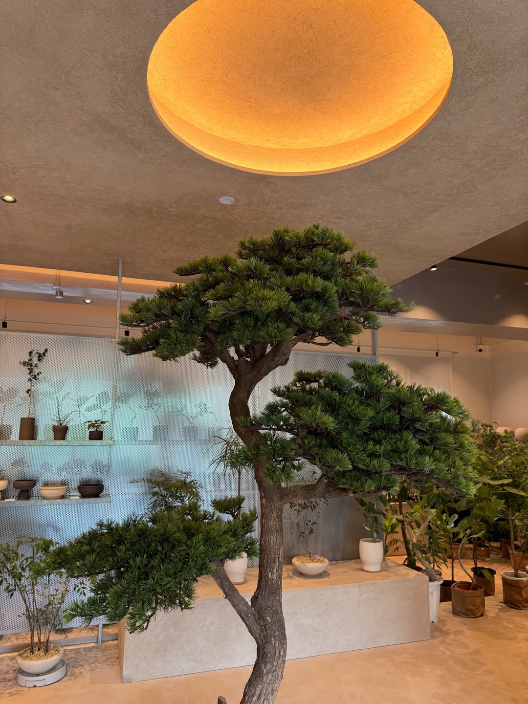 แม็กกี้ - อาภา ภาวิไล