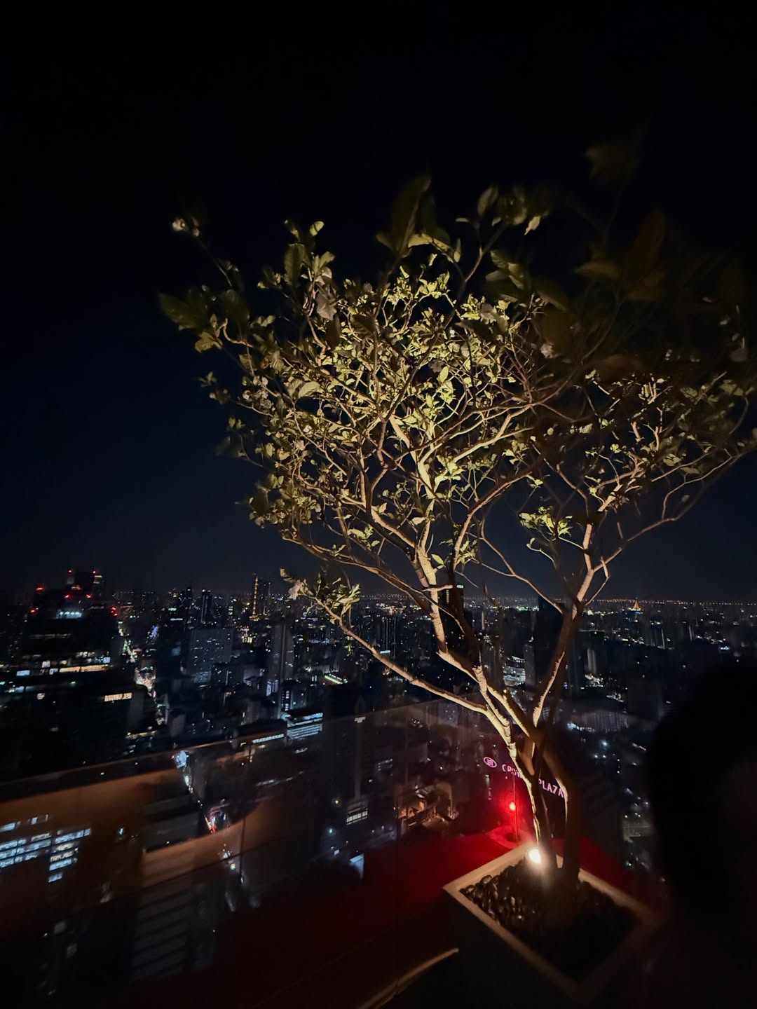 แม็กกี้ - อาภา ภาวิไล