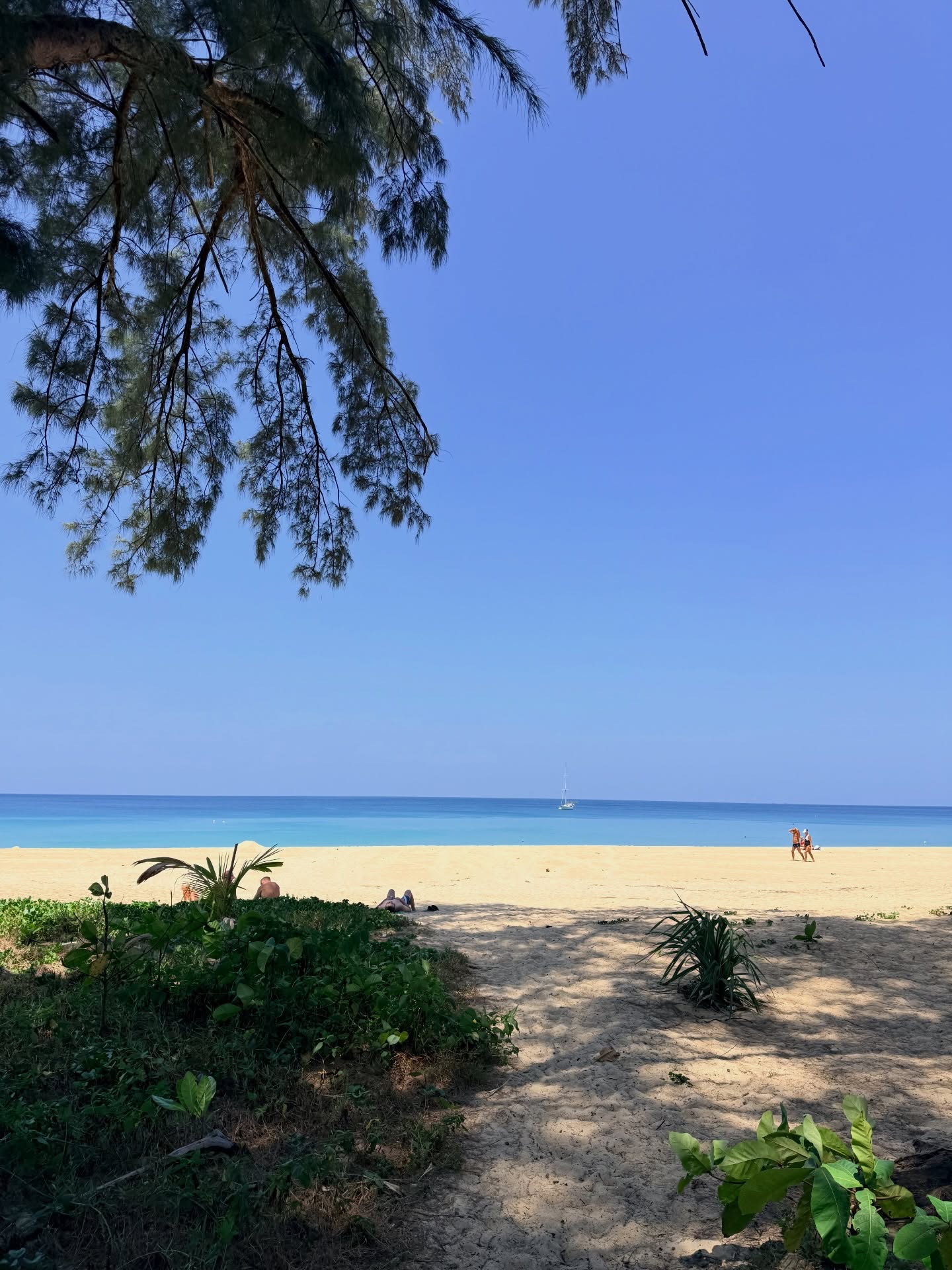 แม็กกี้ - อาภา ภาวิไล