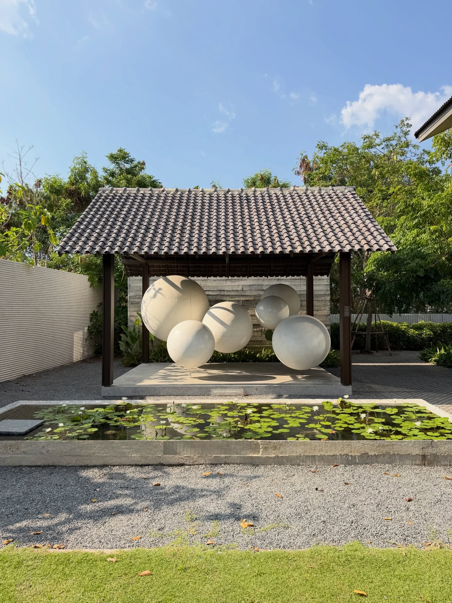 แม็กกี้ - อาภา ภาวิไล