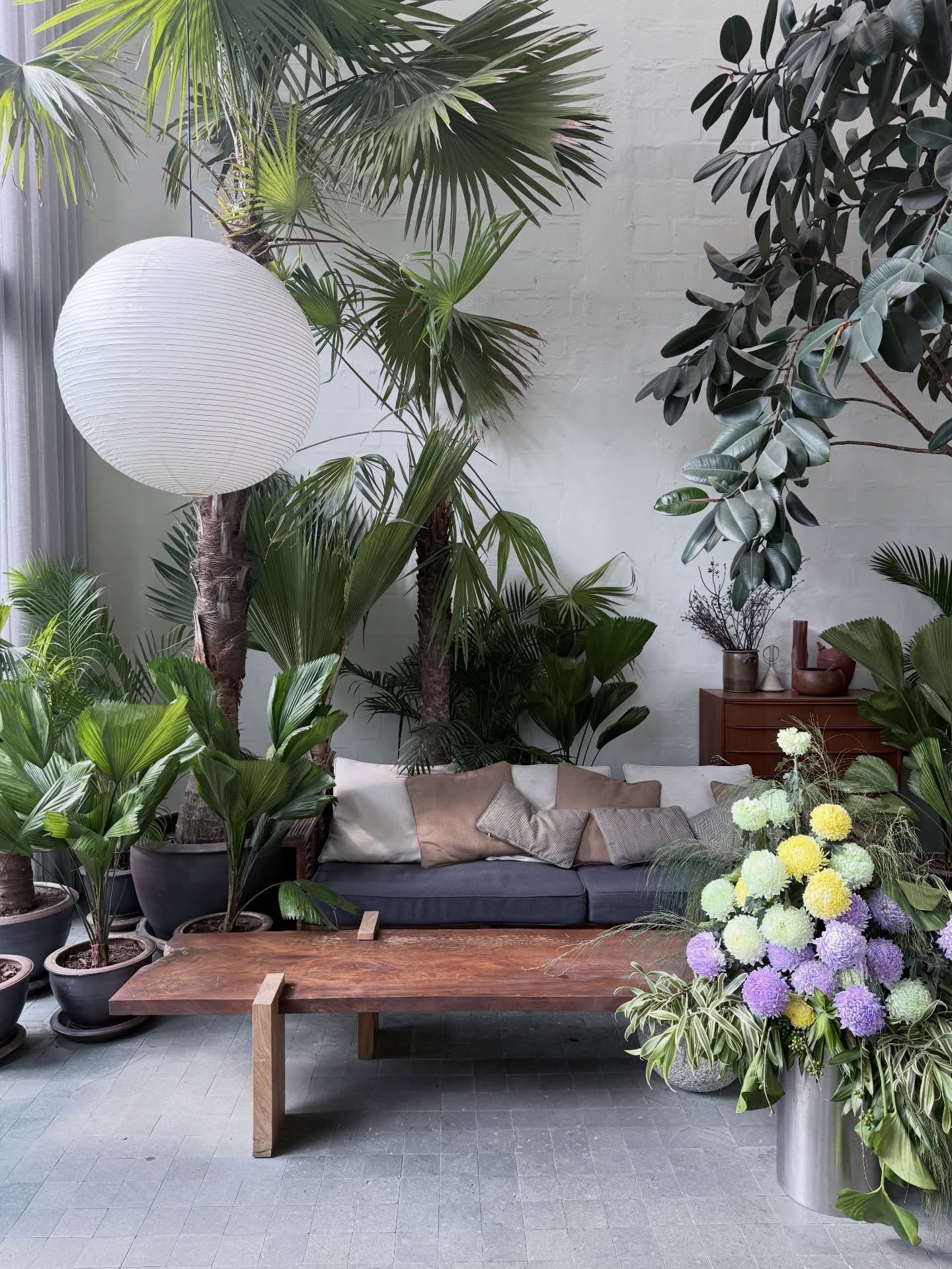 แม็กกี้ - อาภา ภาวิไล