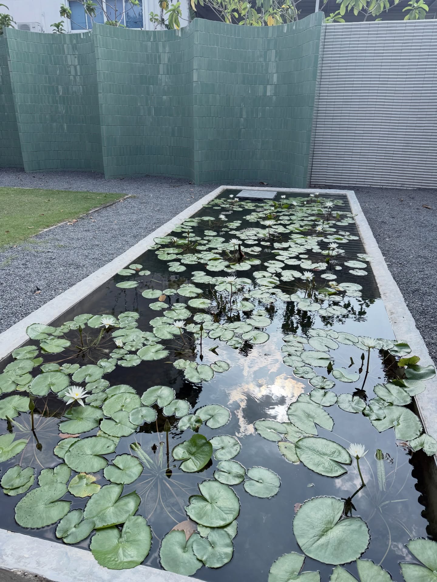 แม็กกี้ - อาภา ภาวิไล