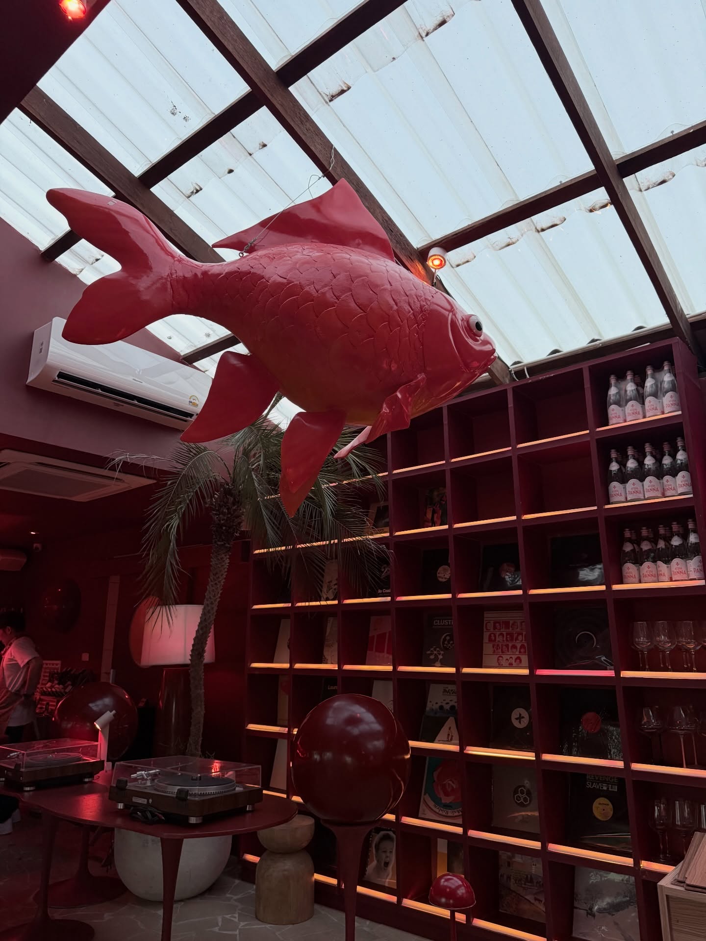 แม็กกี้ - อาภา ภาวิไล