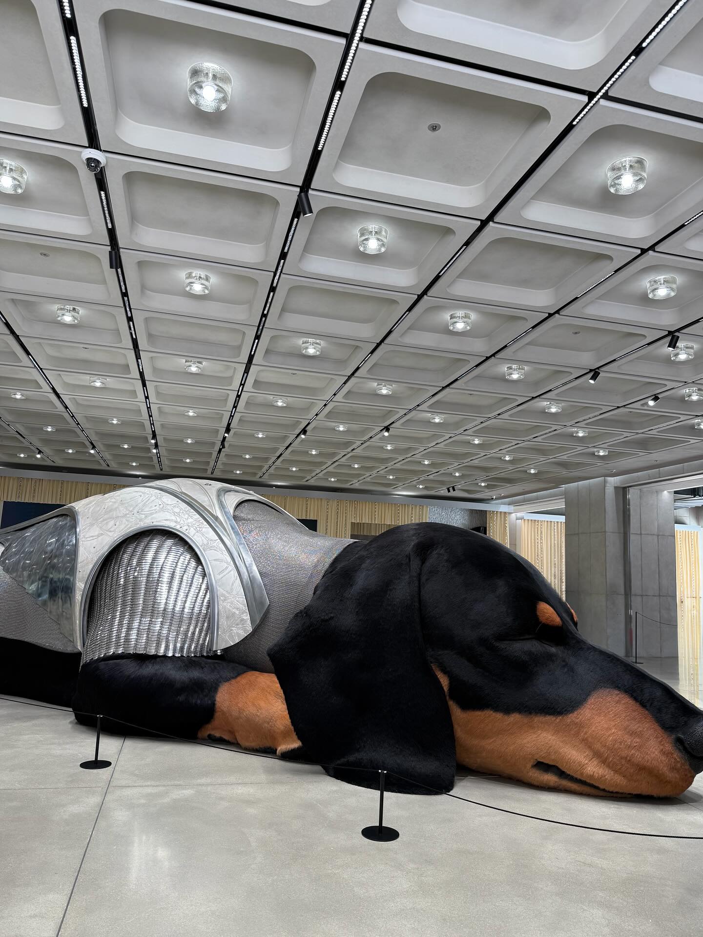 วิน - เมธวิน โอภาสเอี่ยมขจร